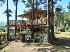 Hotels in Lohusuu
